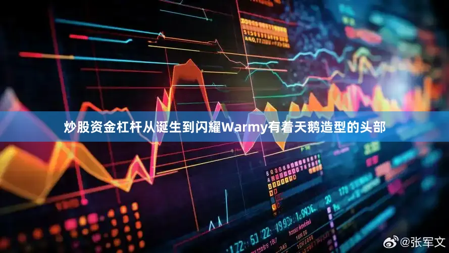 炒股资金杠杆从诞生到闪耀Warmy有着天鹅造型的头部