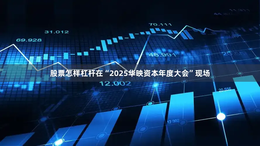 股票怎样杠杆在“2025华映资本年度大会”现场