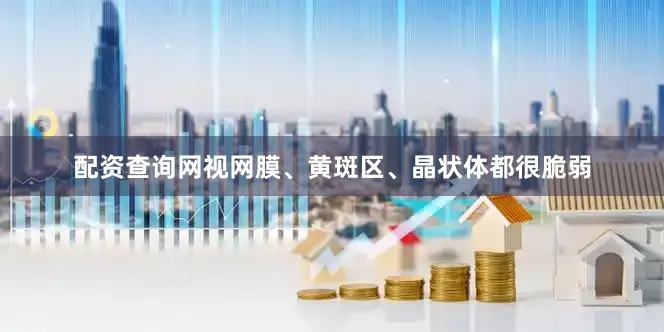 配资查询网视网膜、黄斑区、晶状体都很脆弱