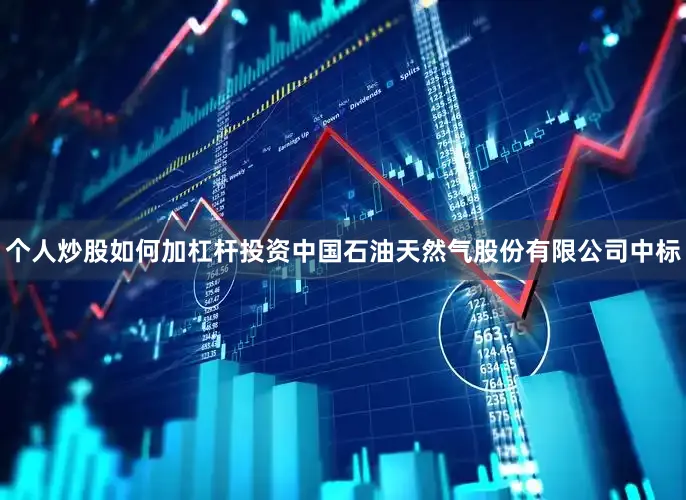 个人炒股如何加杠杆投资中国石油天然气股份有限公司中标